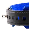 BDSM Slave Collar Close Up Of Locking Buckle