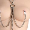 Collar Nipple Genital Clamp Close Up