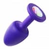 Internally Stimulated Anal Gem Plug