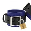 Locking Leather Wrist Cuffs Blue