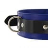 Tri Ring Locking Leather Blue Collar