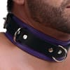 Tri Ring Locking Leather Purple Collar With Model