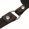 Black Dog Bone Gag Close Up