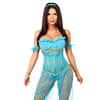 Persian Princess Premium Corset Costume