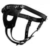 Ass Holster Anal Plug Harness