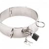 Stainless Steel Locking Bondage Collar