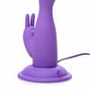 Head Spinning Dancing Rabbit Vibe Solo