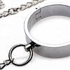 Stainless Steel Shackle Set Close Up