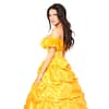 Beauty Princess Corset Costume Back
