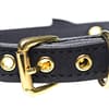 Kitty's Black Bell Collar Buckle
