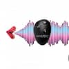 Voice Activated Vibrating Egg Demo