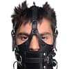 Leather Head Harness with Removeable Gag Front View Gaged