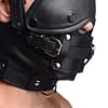 Leather Head Harness with Removeable Gag Side View