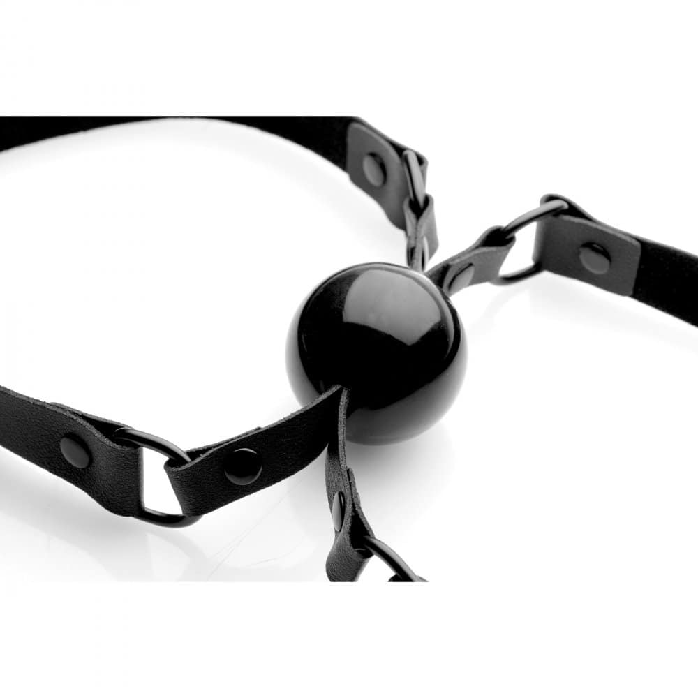 Shared Kisses Mouth Gag Closeup