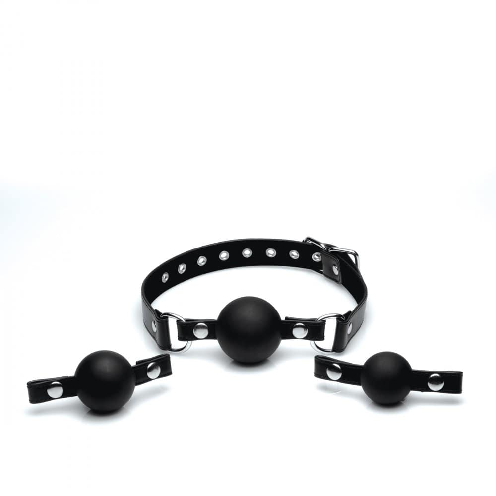 Interchangeable Silicone Ball Gag Set Apart