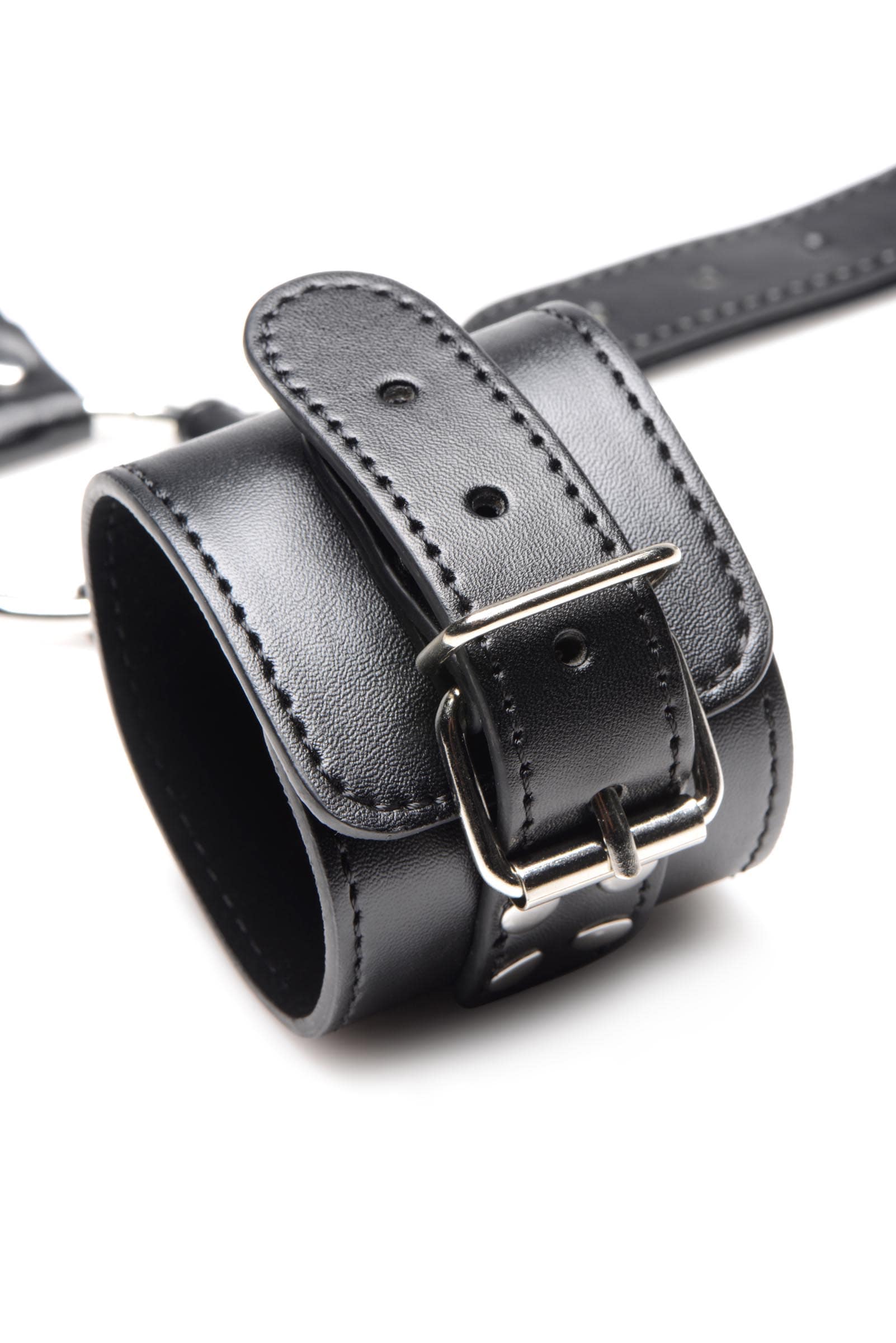 Neck to Wrist Restraints - Image 7