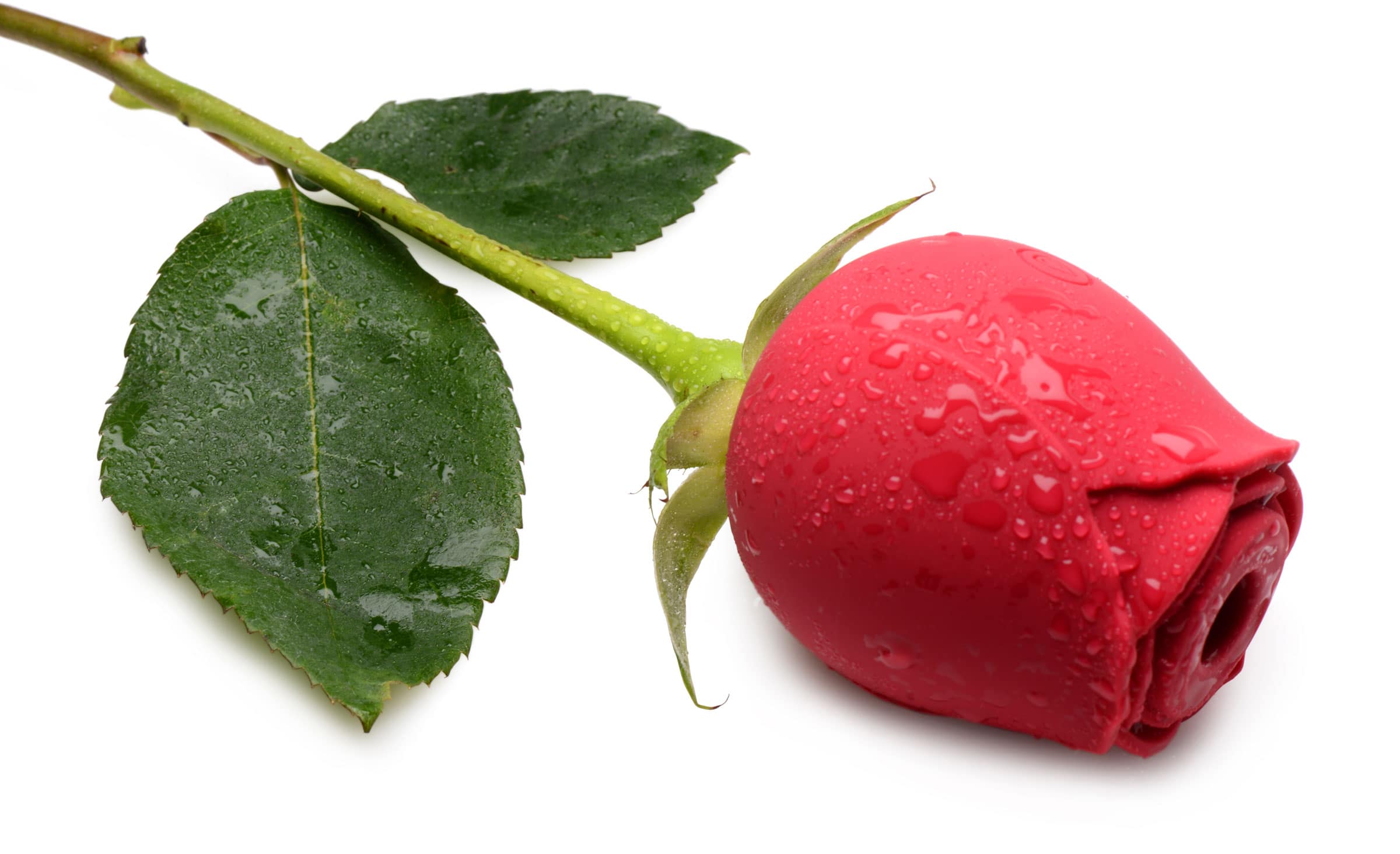 Bloomgasm Wild Rose 10X Silicone Clit Stimulator - Image 6