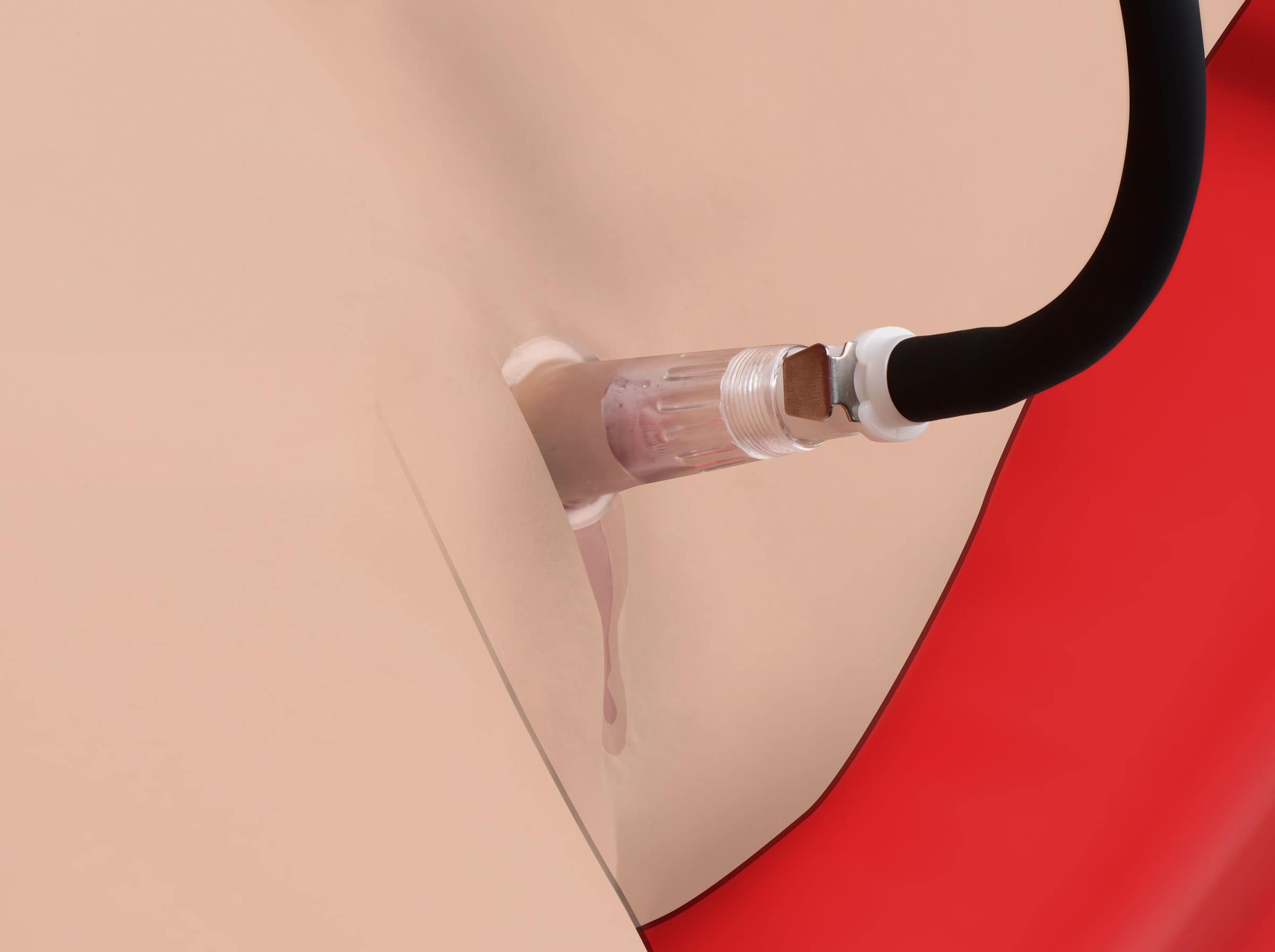 Clitoris Pumping System - Image 2