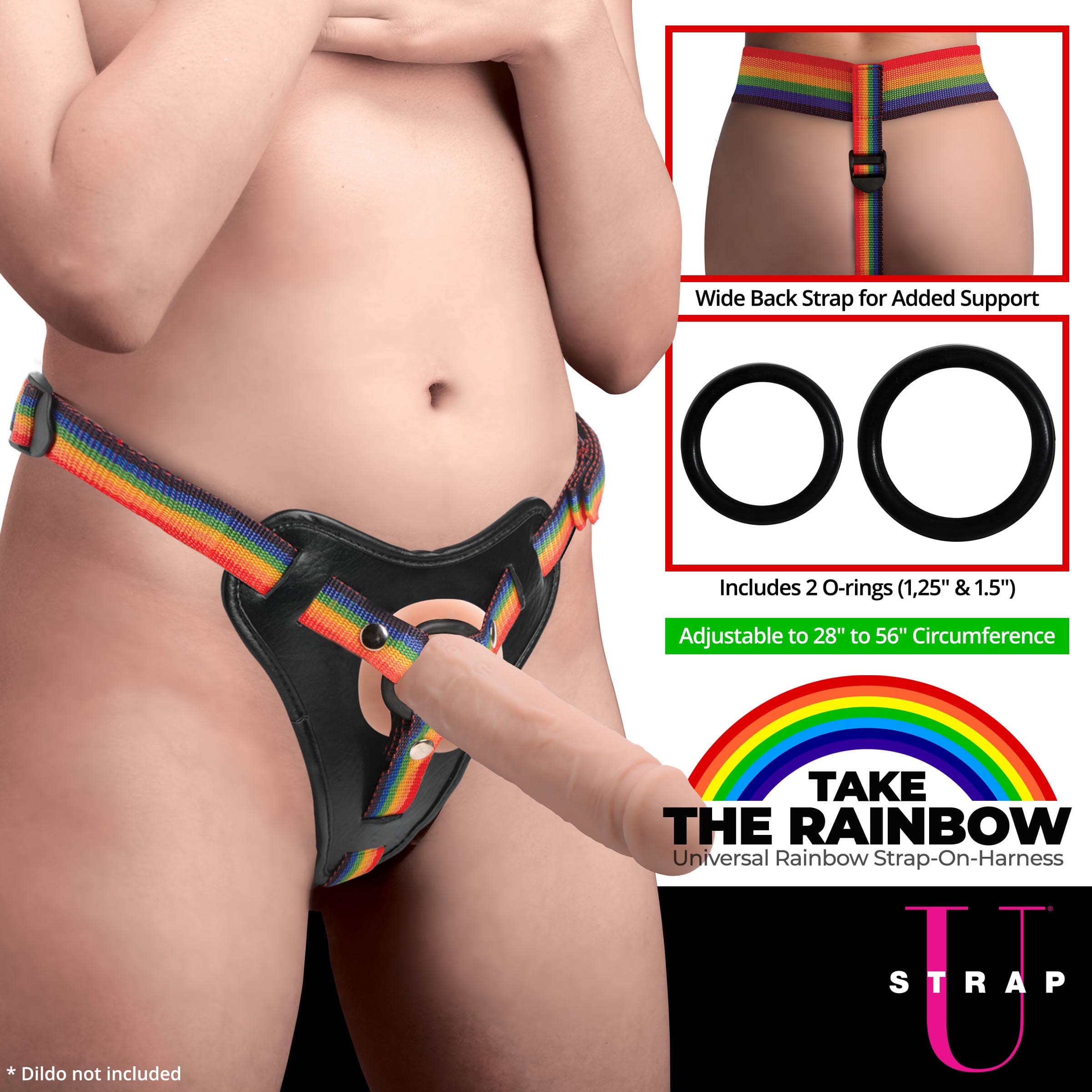 Rainbow Strap On Harness with Silicone O-Rings - Image 2
