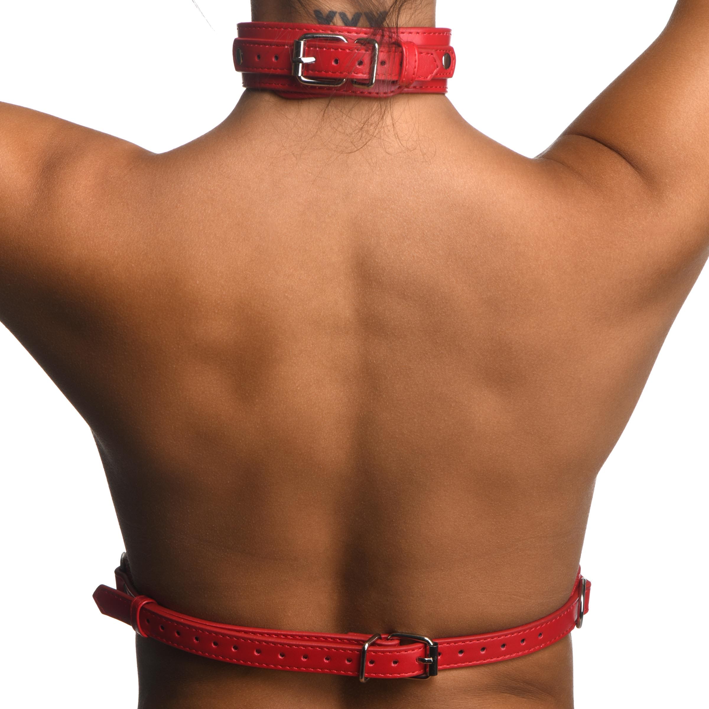Red Female Chest Harness- Small/Medium - Image 4