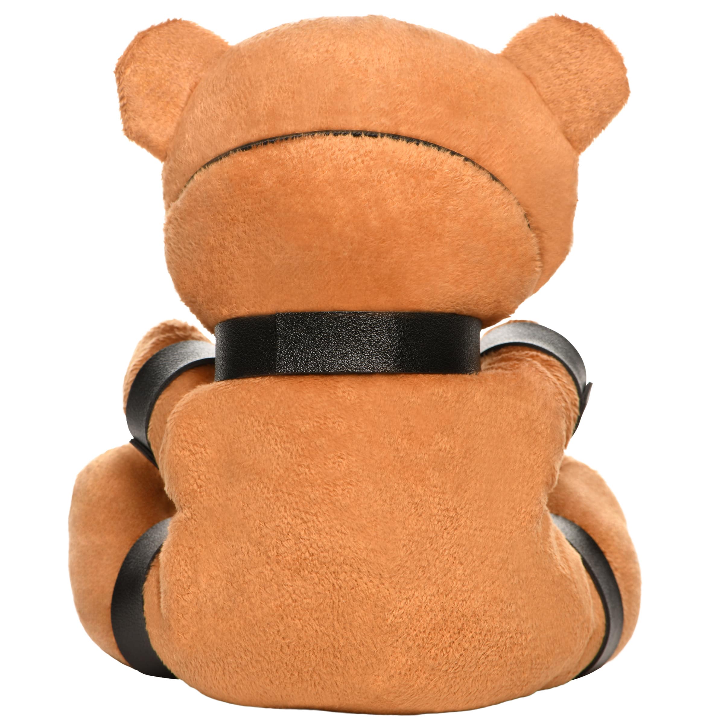 Gagged Bondage Teddy Bear - Image 6