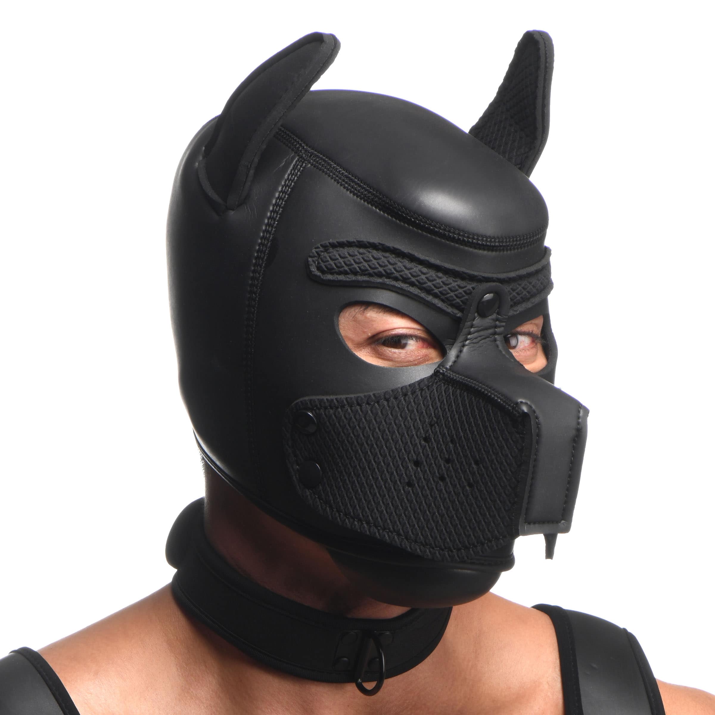 Full Pup Arsenal Set - Image 5