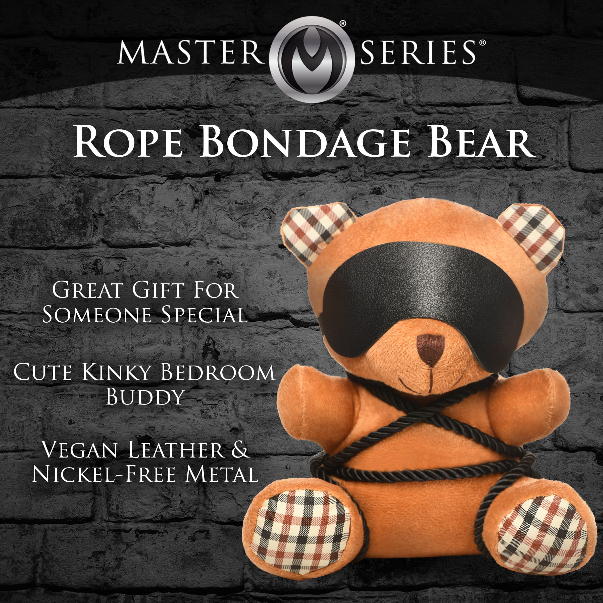 Rope Bondage Teddy Bear - Image 3