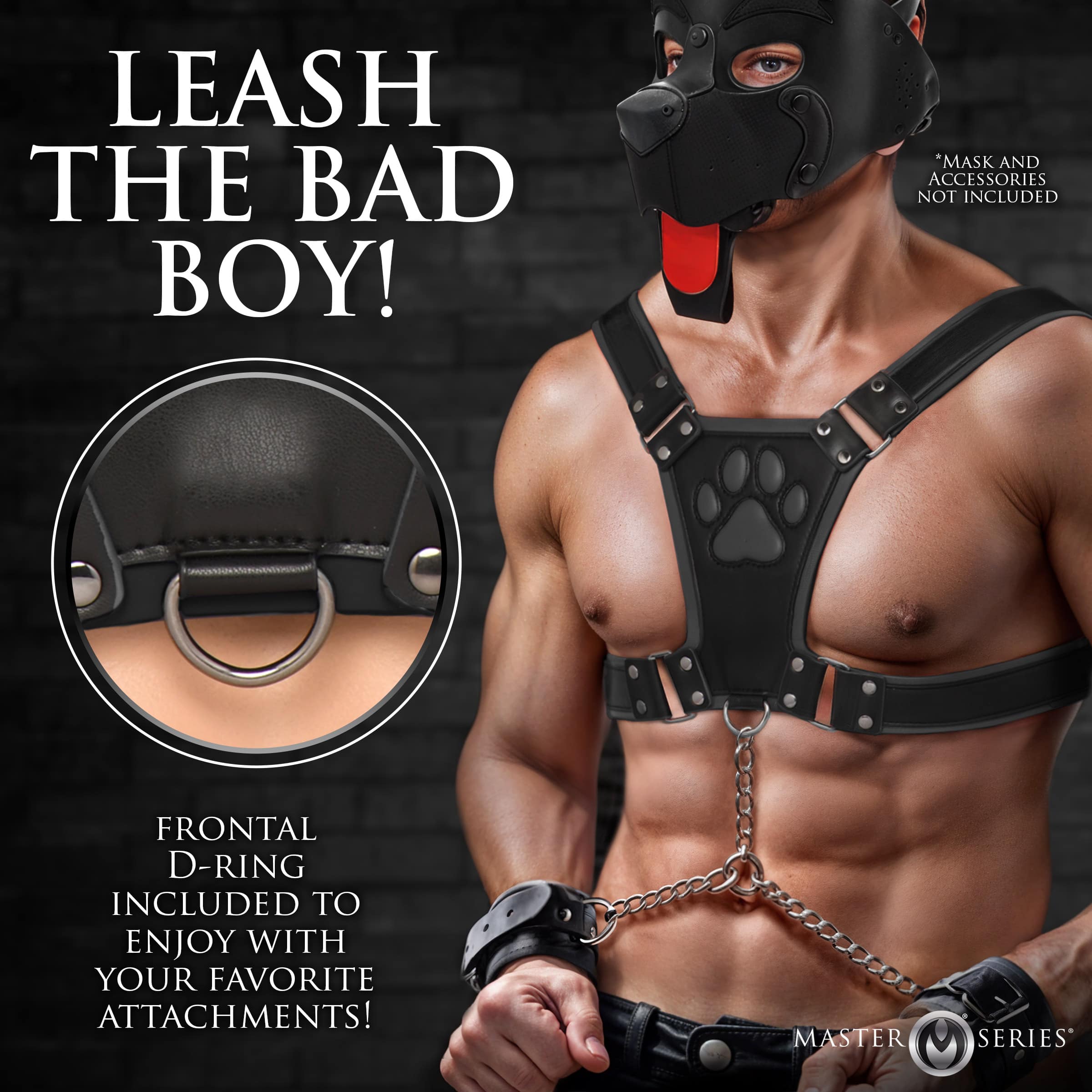 Alpha Pup Bulldog Harness - Black - Image 3