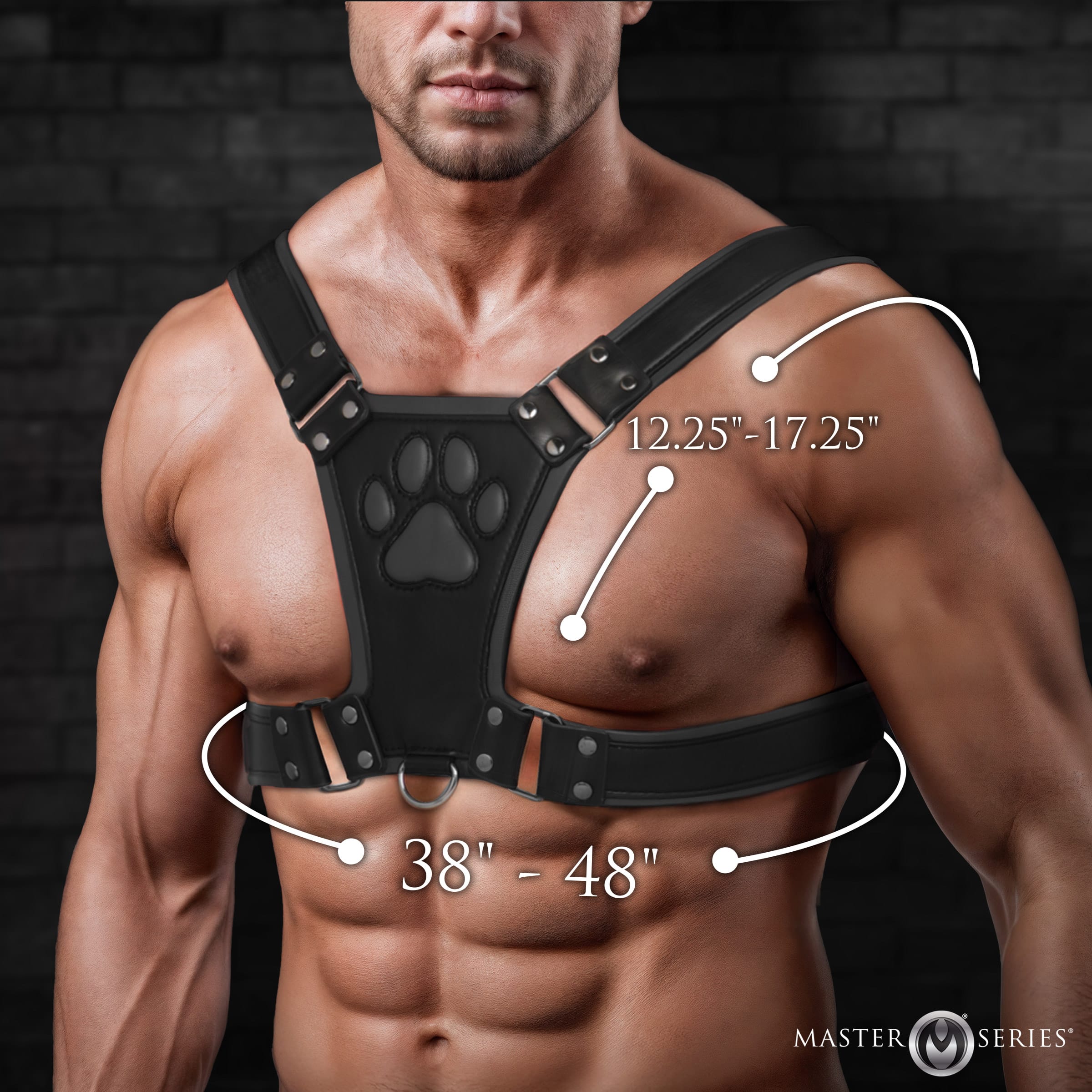 Alpha Pup Bulldog Harness - Black - Image 4