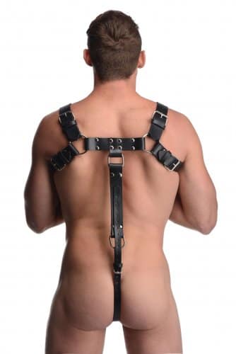 Bull Dog Body Harness Back View