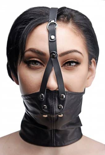 Corset Neck Harness with Stuffer Gag Front View