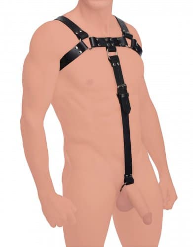Bull Dog Body Harness