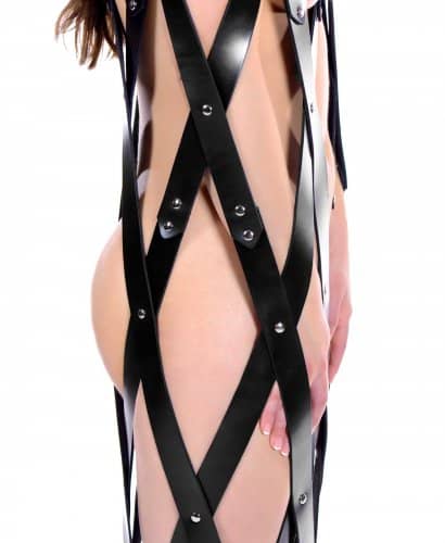 Hanging Leather Cage Back View