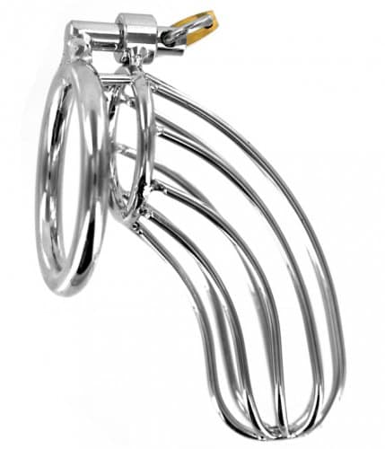 The Steel Bird Cage Chastity Device