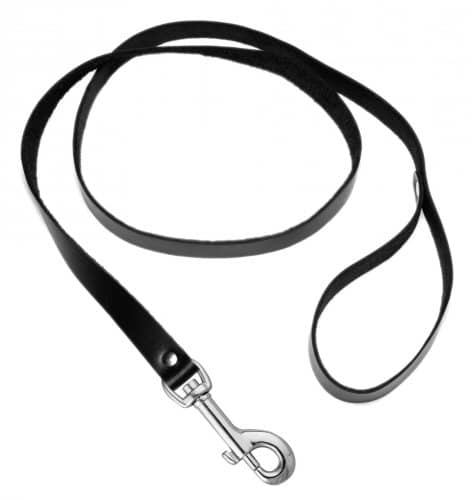 Leather Leash