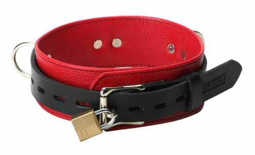 Tri Ring Locking Leather Red Collar Back View