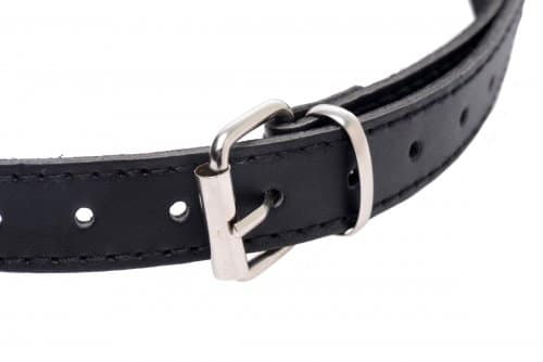 heart in your mouth gag buckle