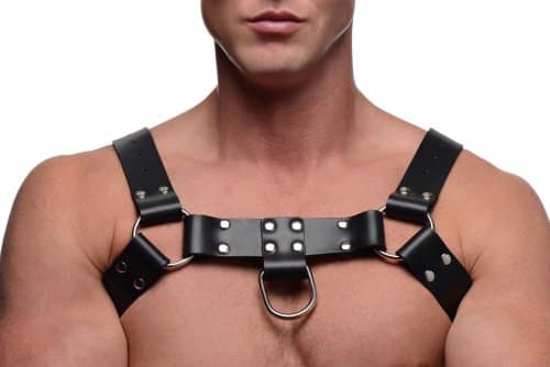 Bull Dog Body Harness Close Up Apart