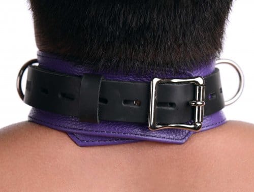 Tri Ring Locking Leather Purple Collar Back View