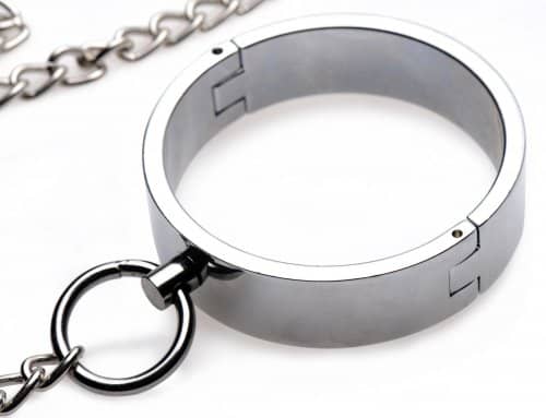 Stainless Steel Shackle Set Close Up