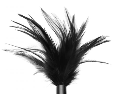 Black Feather Tickler Close Up