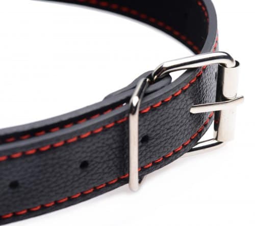 Red & Black Silicone Bit Gag Back View