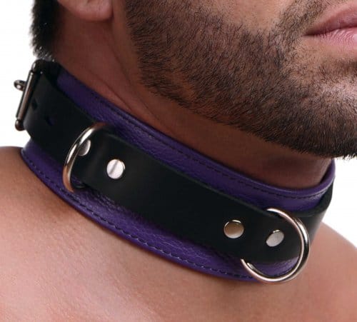 Tri Ring Locking Leather Purple Collar With Model