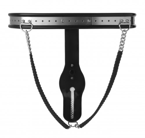 Female Steel Locking Chastity Belt Back View