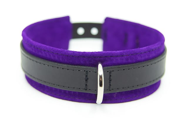 Large & Not Incharge Submissive Training Collar Purple