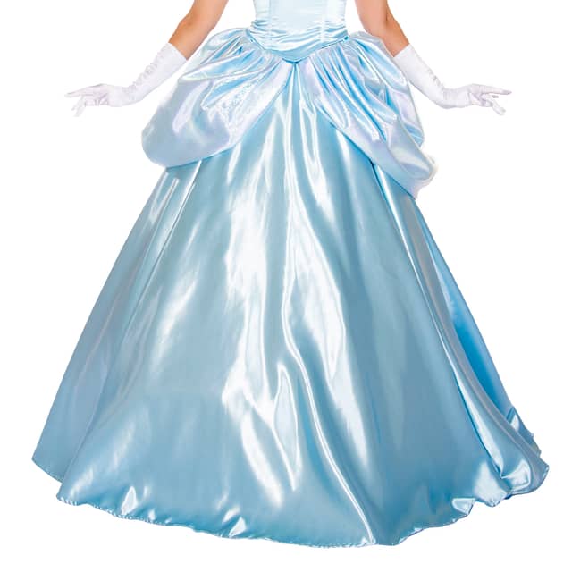 Stroke of Midnight Princess Gown