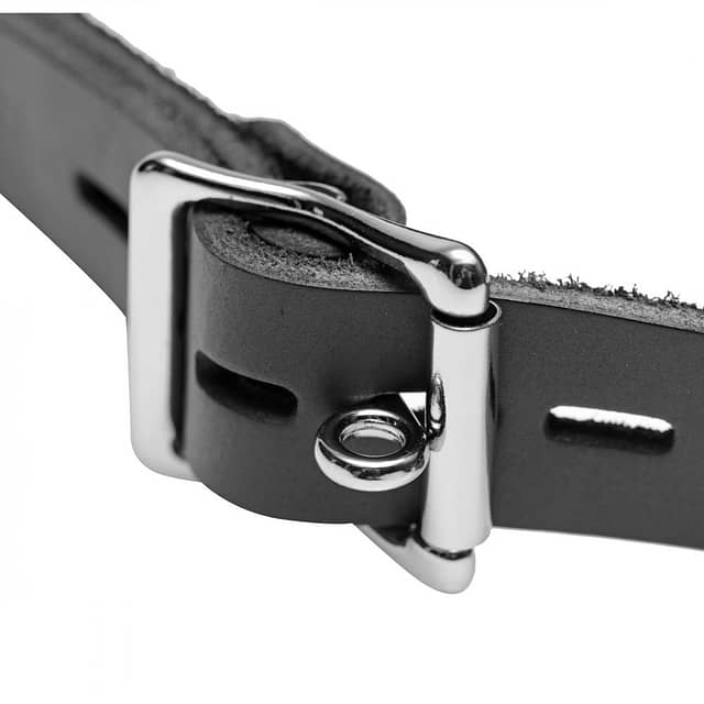 Feeder Locking Open Mouth Gag Buckle