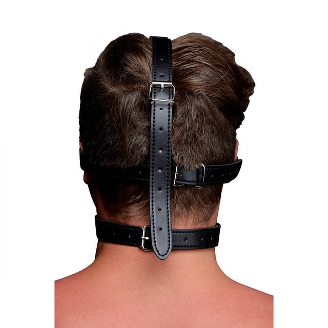 Blindfold Harness and Ball Gag Back View