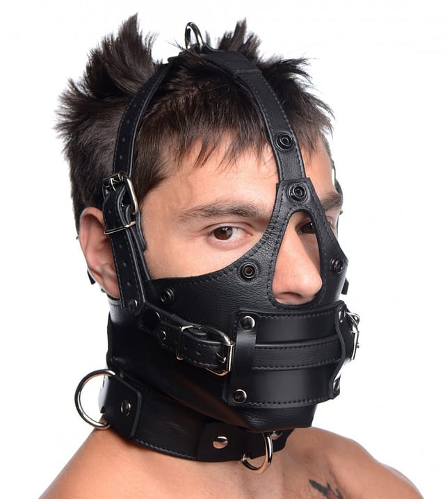 Leather Head Harness with Removeable Gag With no blindfold
