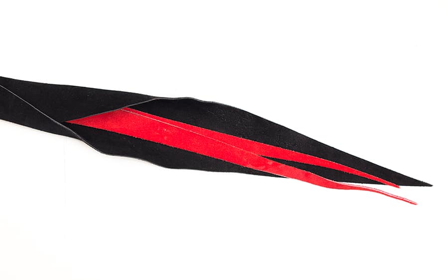 Dragon Tongue Close Up